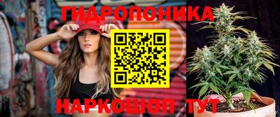 бошки Владивосток